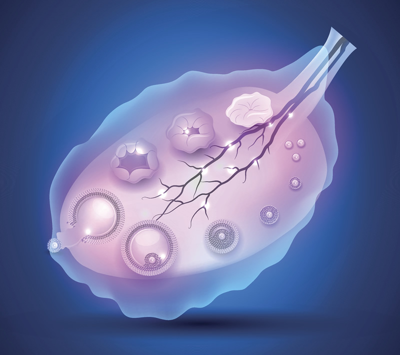 揭秘试管婴儿技术：一代、二代、三代的区别及价格对比